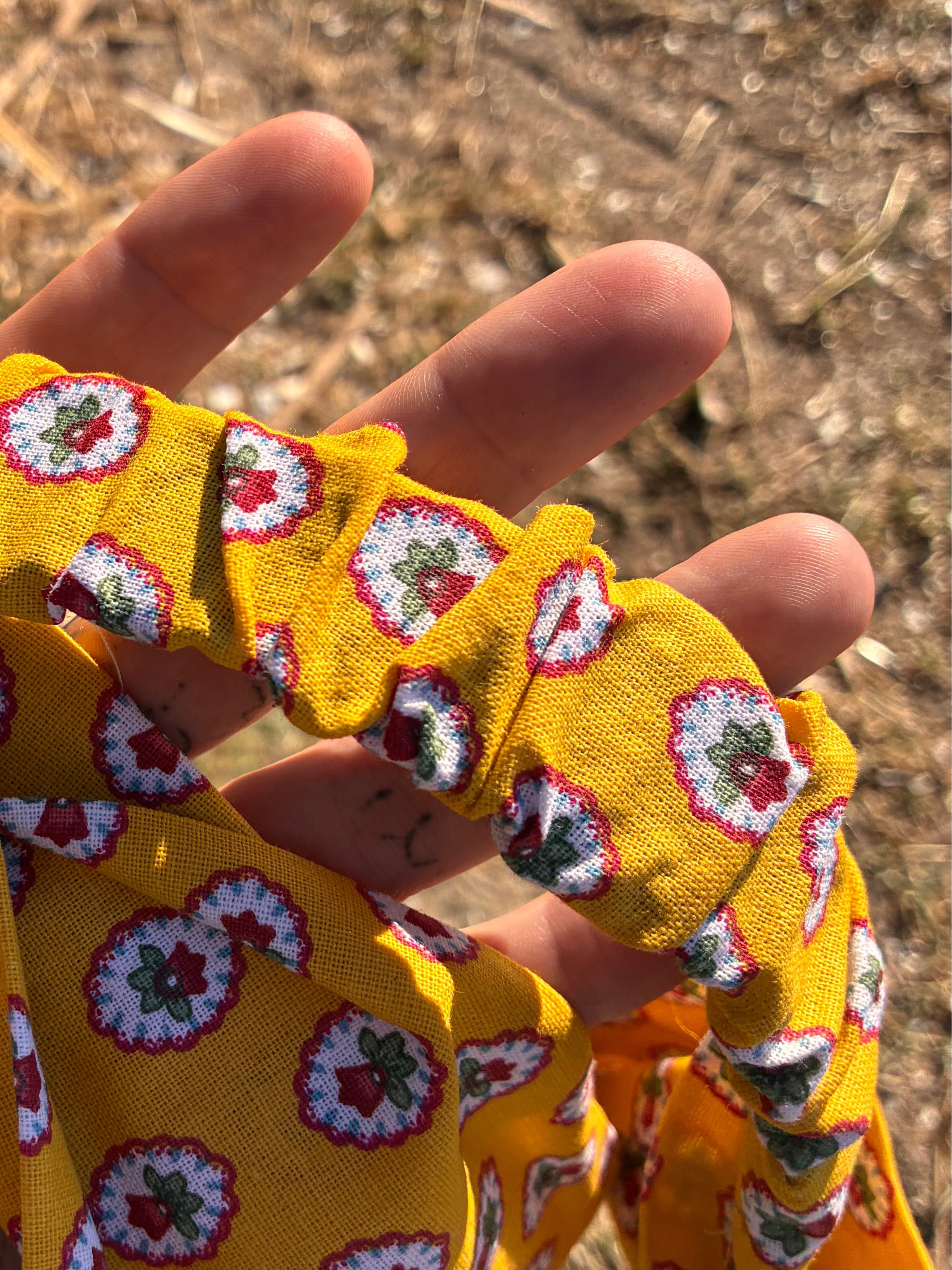 Midie Bands